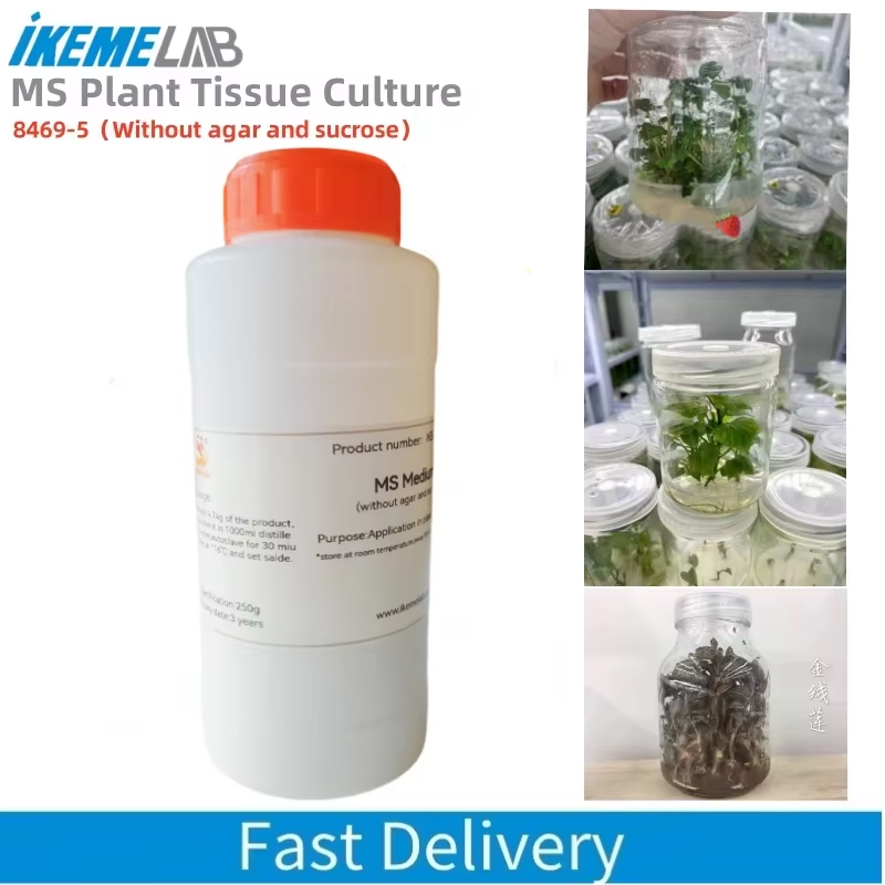 IKEME 250g Lab MS Medium Witho - Agar Tissue Culture ulasan dan harga
