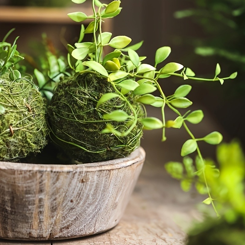Artificial Moss Ball Planter,  - Sphagnum Moss Dry ulasan dan harga