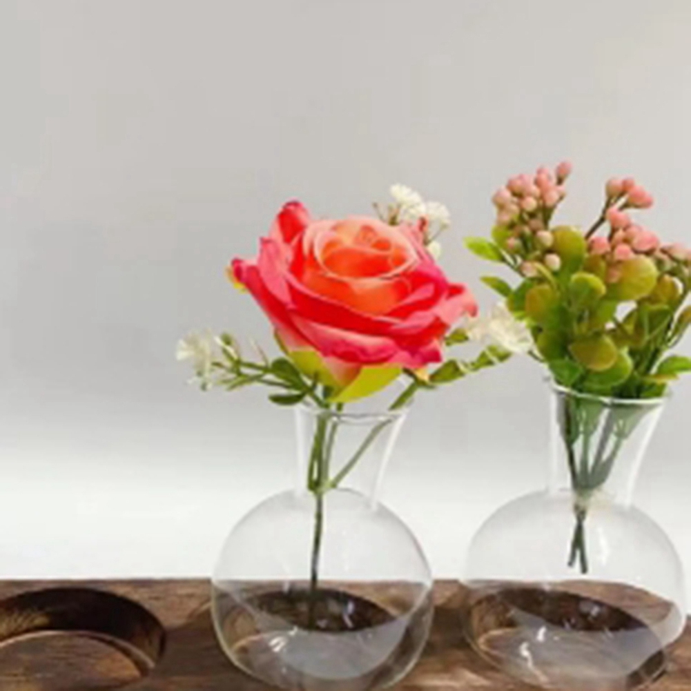 75STO-Hydroponic Plant Vases V - Propagation Station Vase ulasan dan harga