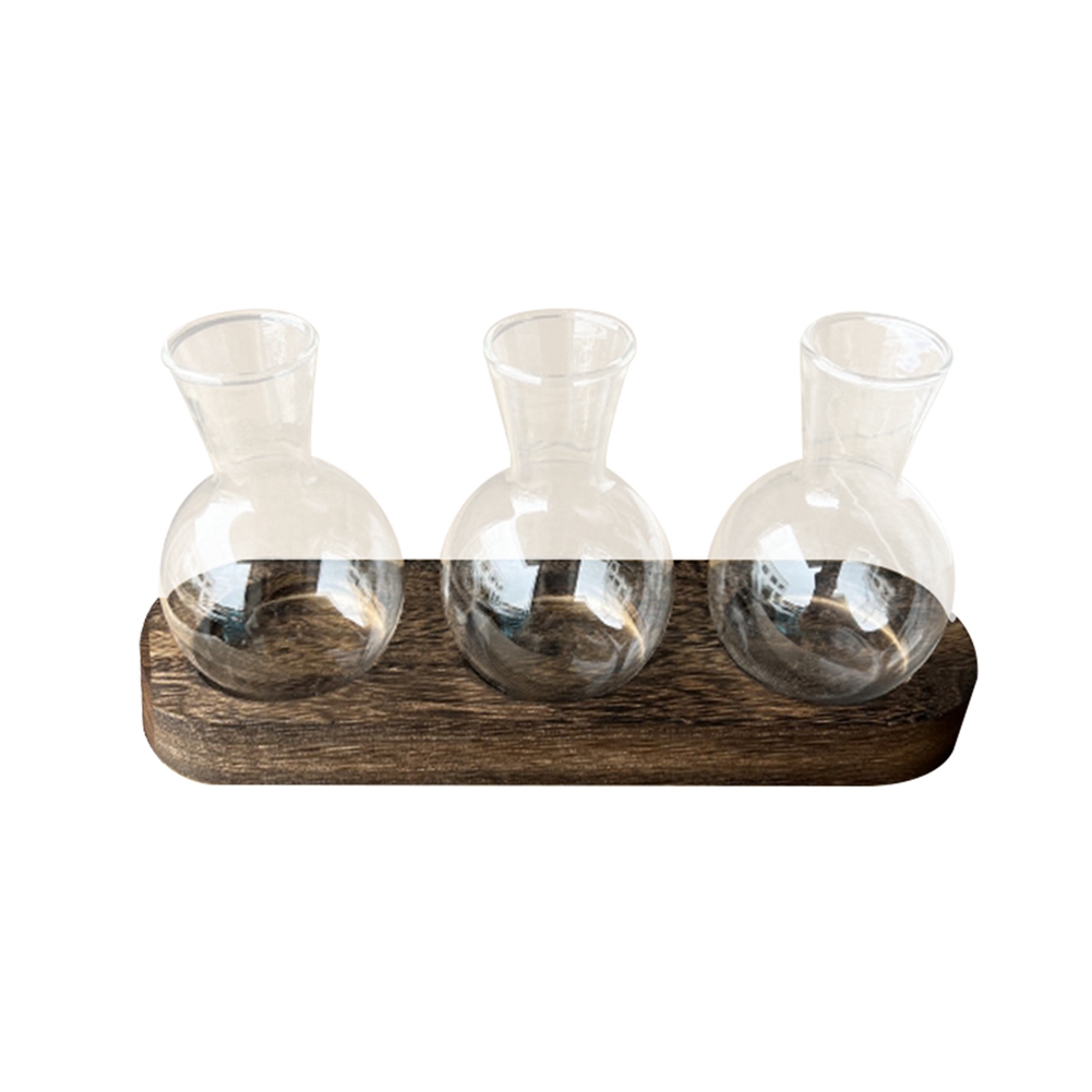75STO-Hydroponic Plant Vases V - Propagation Station Vase ulasan dan harga