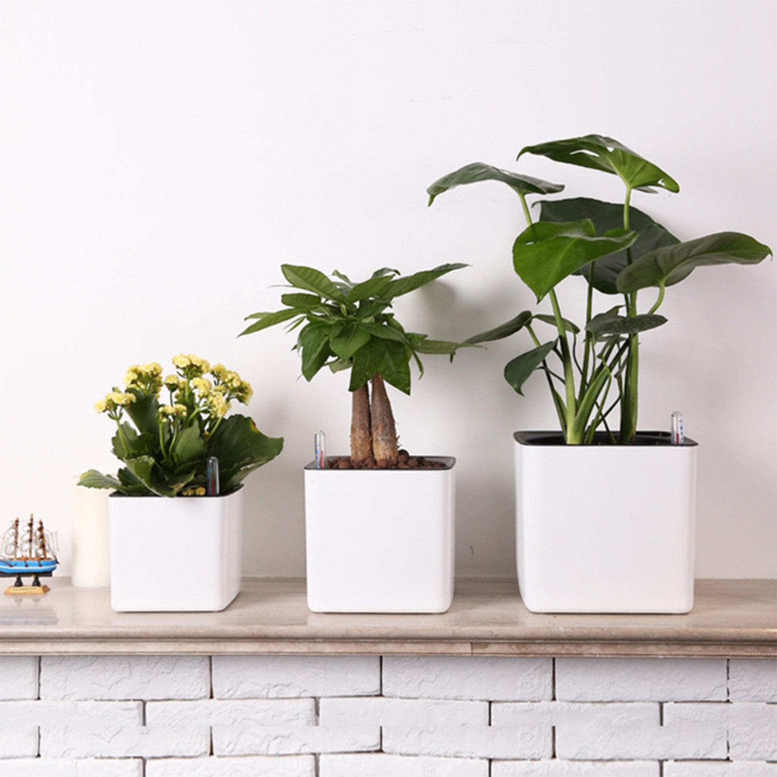 3 size Lazy flowerpot Green Pl - Self Watering Insert ulasan dan harga