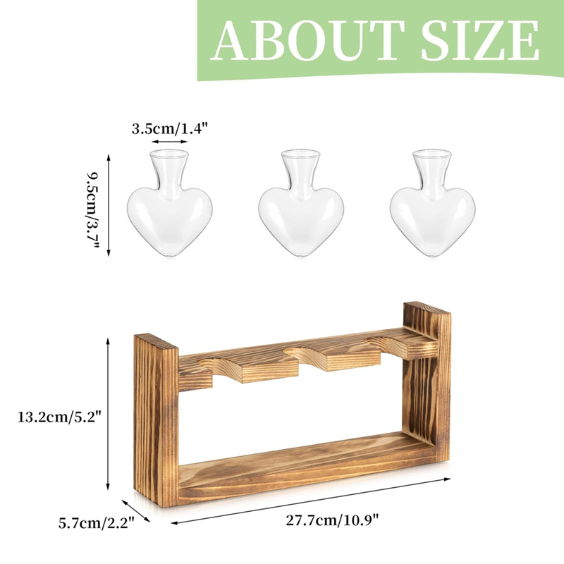 Glass Propagation Station for  - Propagation Station Vase ulasan dan harga