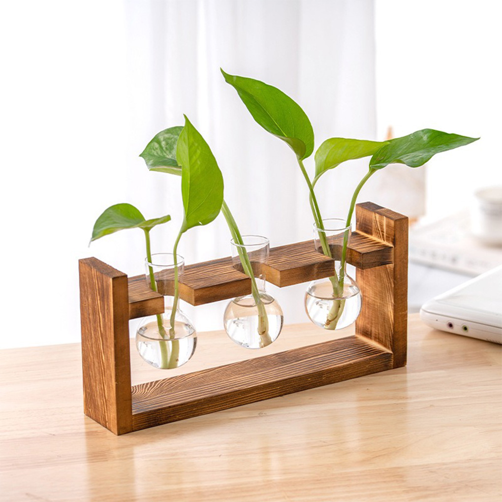Vases Home Office Hydroponic P - Propagation Station Vase ulasan dan harga