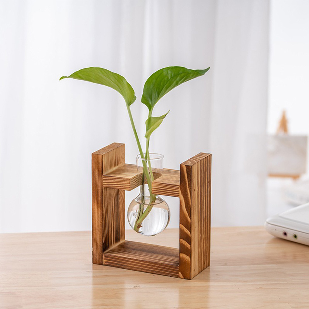 Vases Home Office Hydroponic P - Propagation Station Vase ulasan dan harga