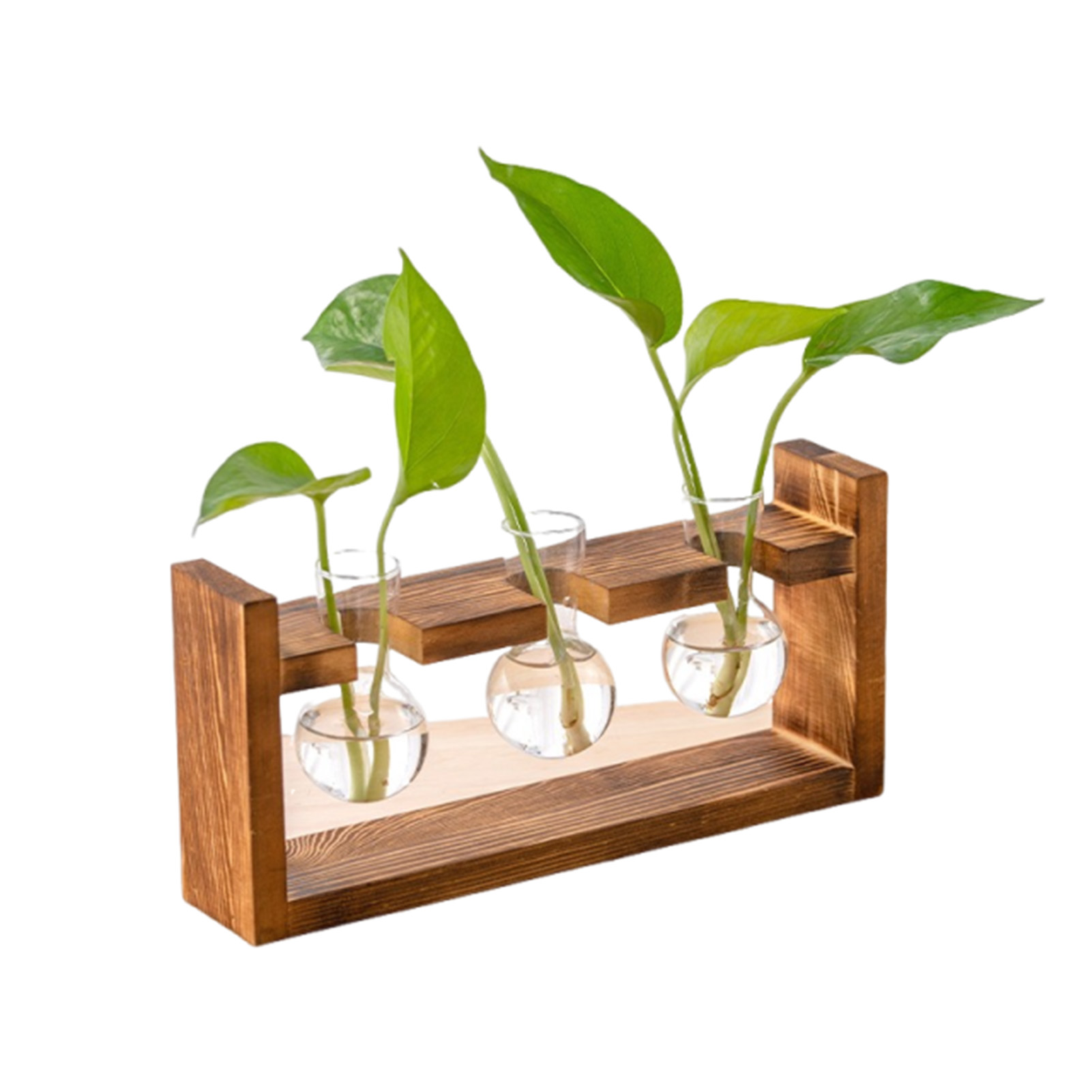 Vases Home Office Hydroponic P - Propagation Station Vase ulasan dan harga