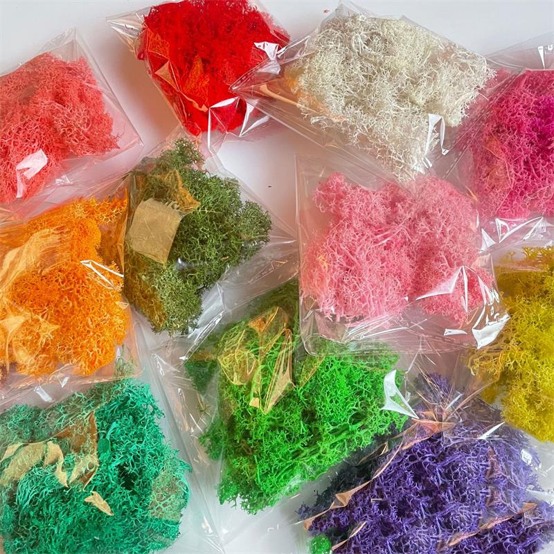 20-200g Artificial Green Plant - Sphagnum Moss Dry ulasan dan harga