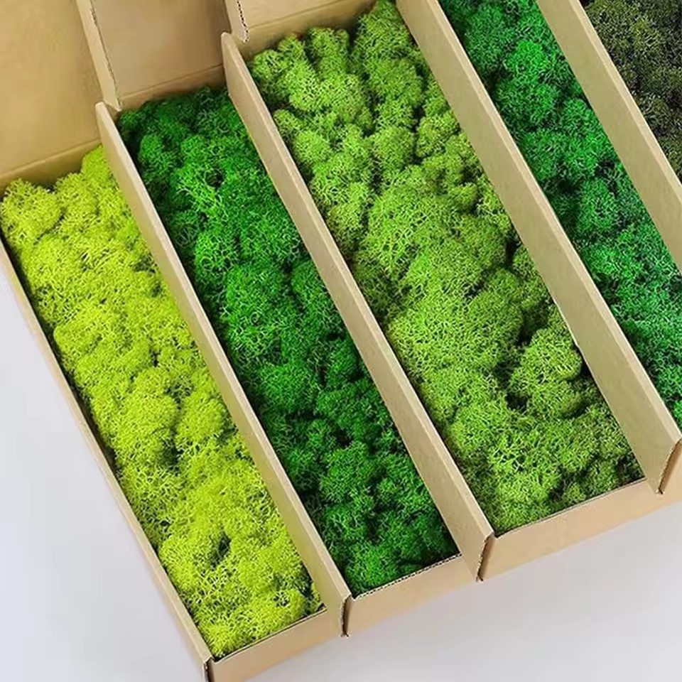 20-200g Artificial Green Plant - Sphagnum Moss Dry ulasan dan harga