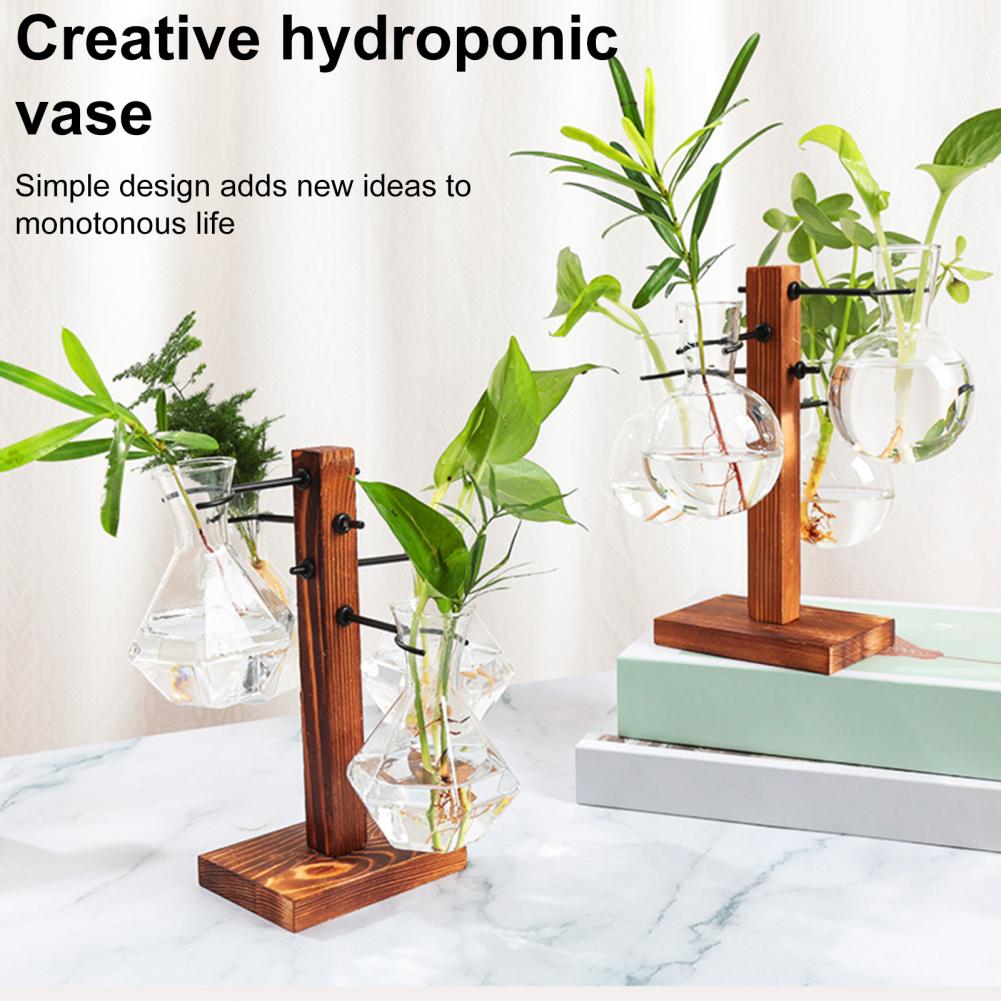 1 Set 10*25cm Plants Propagati - Propagation Station Vase ulasan dan harga