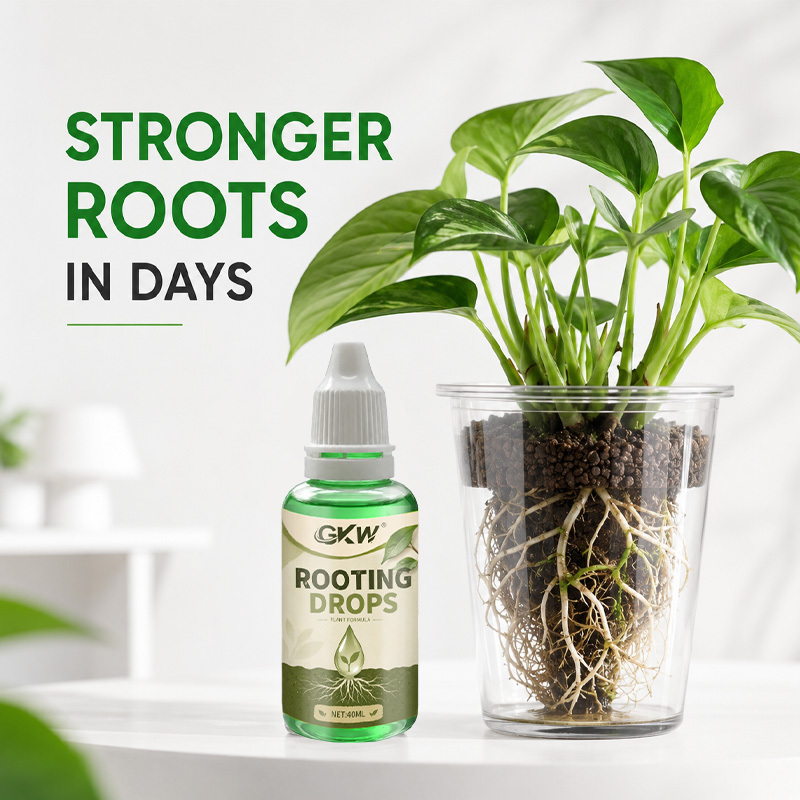 40ml Root Stimulator Liquid, n - Root Stimulator Liquid ulasan dan harga