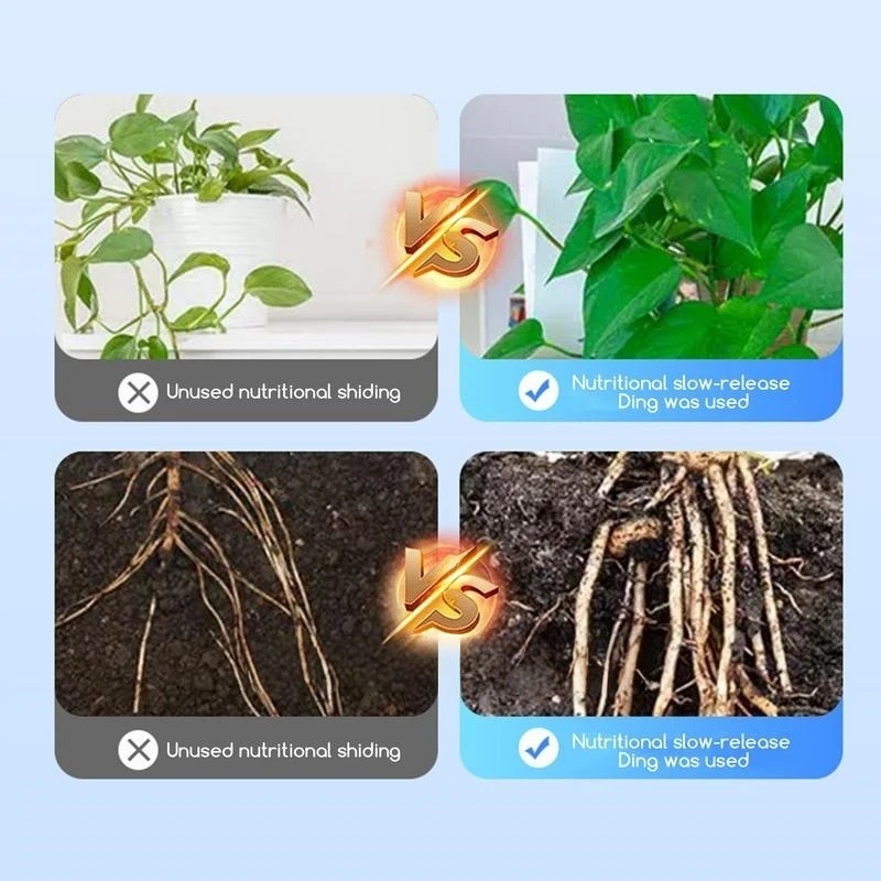 2bags Rooting Hormone Powder U - Rooting Hormone Powder ulasan dan harga