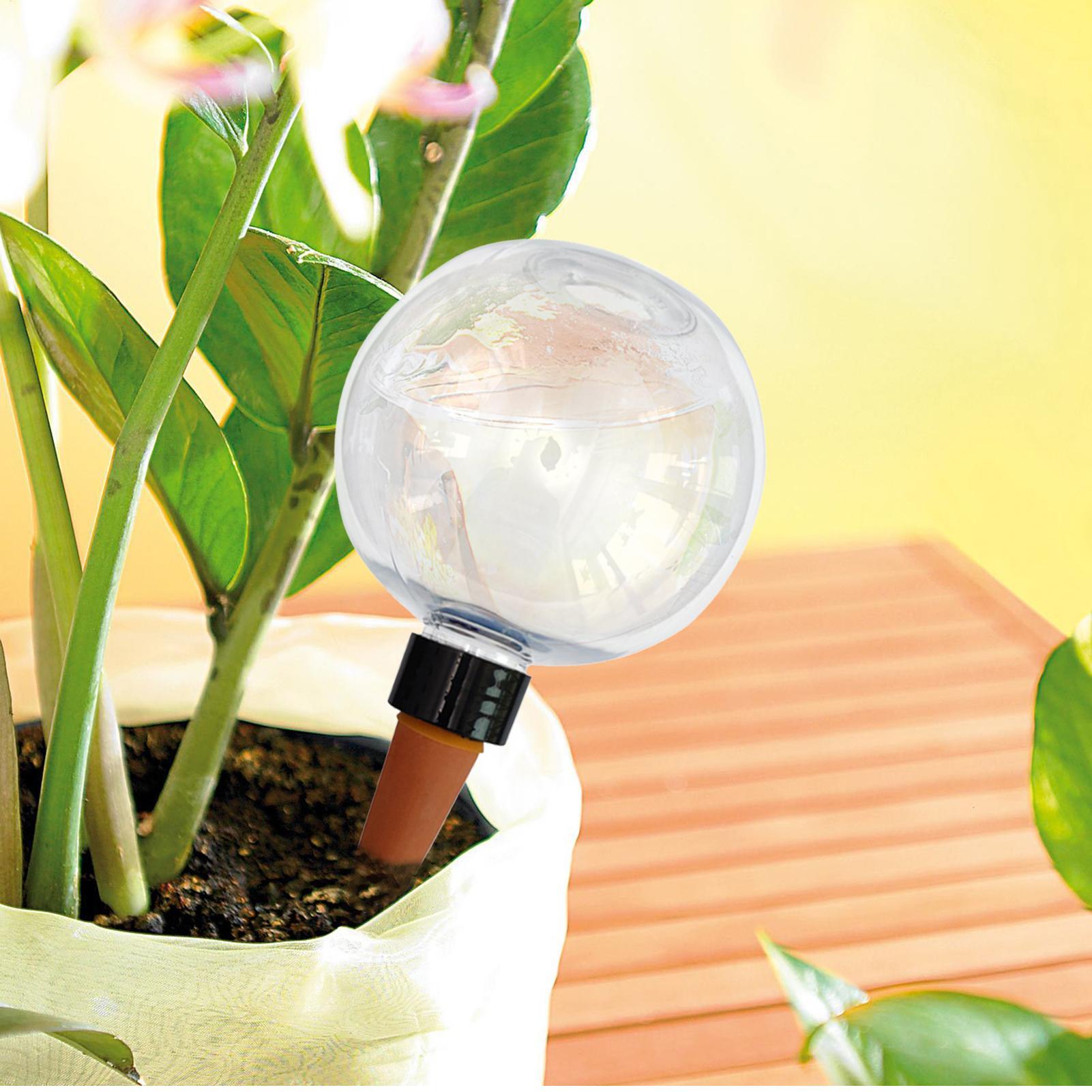 500ml Automatic Plant Watering - Self Watering Insert ulasan dan harga