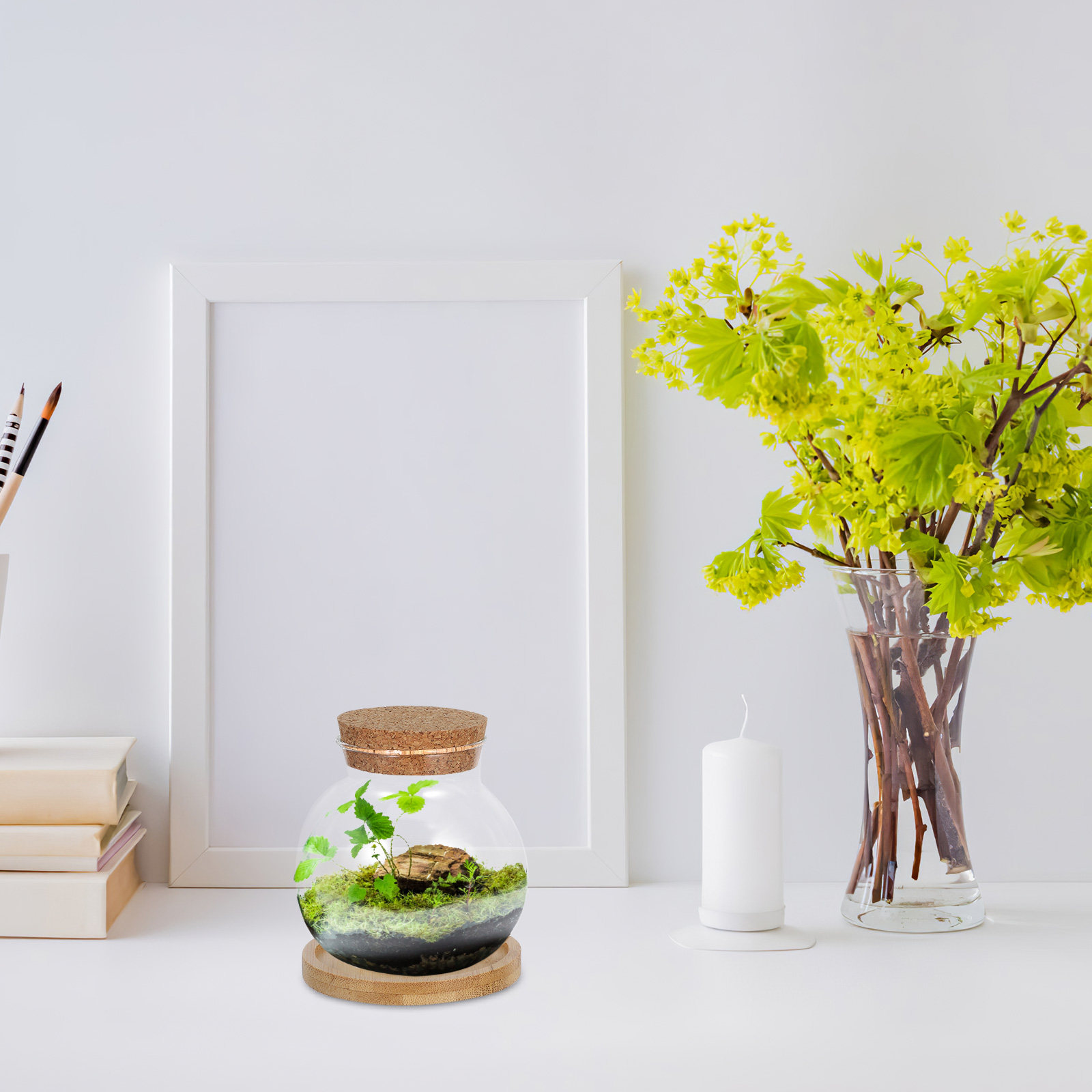 2Set Hydroponic Glass Elegant  - Propagation Station Vase ulasan dan harga