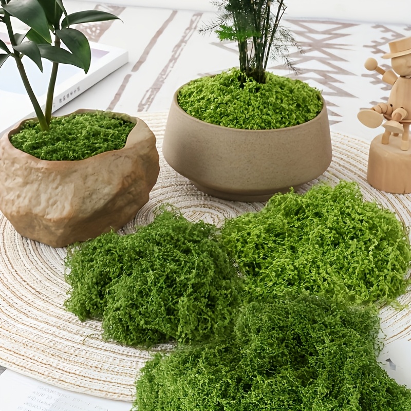 Large Pack Realistic Artificia - Sphagnum Moss Dry ulasan dan harga